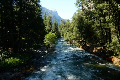 DSC_2411 (Large).JPG